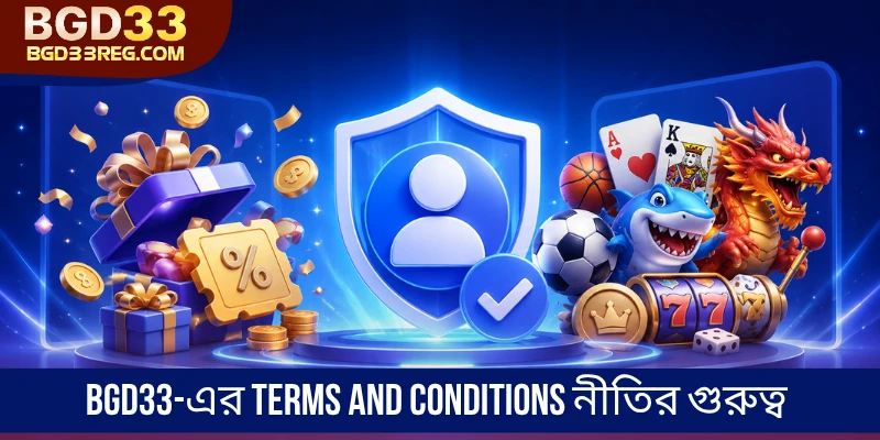 BGD33-এর terms and conditions নীতির গুরুত্ব