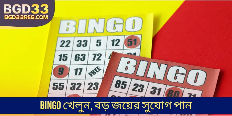 Bingo খেলুন, বড় জয়ের সুযোগ পান